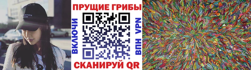 Купить  Новосокольники  Псилоцибиновые грибы мухоморы 